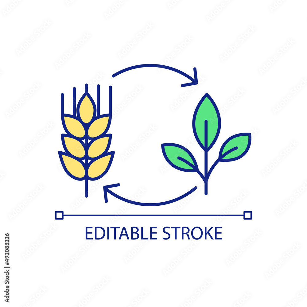 Life stages of agricultural plant growing RGB color icon. Wheat cultivation process. Farming industry. Isolated vector illustration. Simple filled line drawing. Editable stroke. Arial font used