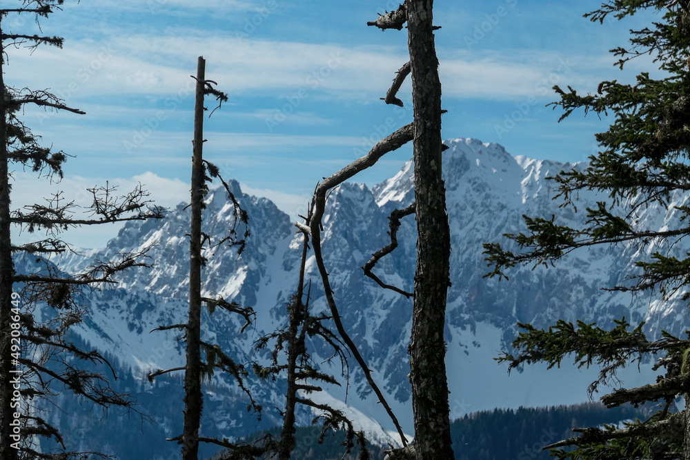 Scenic view of snow capped mountain peaks of Karawanks on the way to Sinacher Gupf in Carinthia, Austria. Mount Wertatscha is visible through dense forest in early spring. Rosental on a sunny day.Hike Scenic view of snow capped mountain peaks of Karawanks on the way to Sinacher Gupf in Carinthia, Austria. Mount Wertatscha is visible through dense forest in early spring. Rosental on a sunny day.Hike