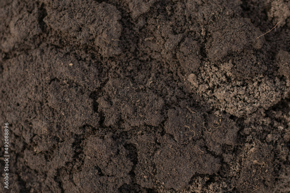 Soil in the ground. Texture of the ground