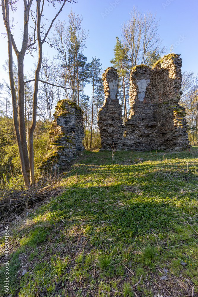 Chlum ruins from the 13th century near Zbysov, Central Bohemia, Czech Republic Chlum ruins from the 13th century near Zbysov, Central Bohemia, Czech Republic
