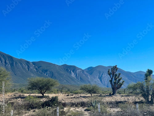 landscape in the mountains - huasteca tamaulipeca - mexico photo