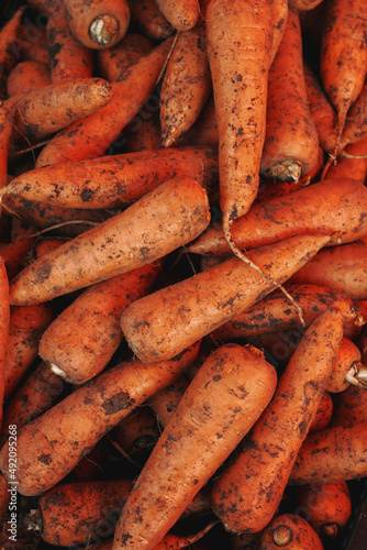 fresh organic carrots on the market