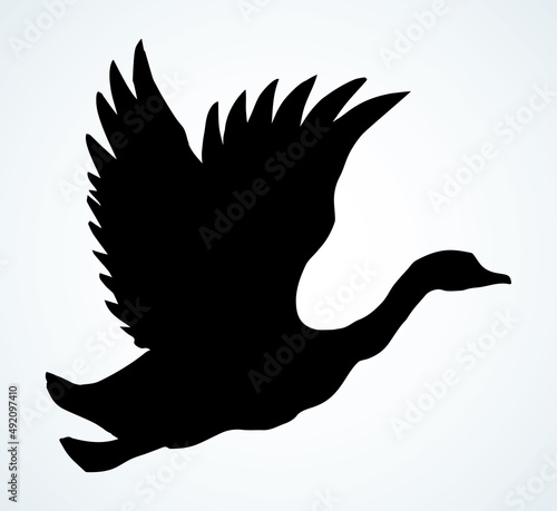 Goose in flight. Vector drawing