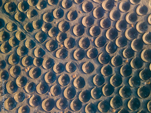 Aerial views of the vineyards in the furrows of volcanic soil on the island of Lanzarote in the Canary Islands