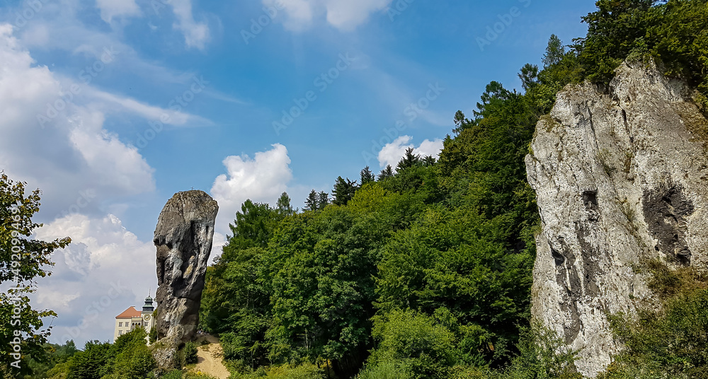 A panoramic view on the limestone stack called Hercules bludgeon in the Ojcow National Park near Krakow,Lesser Poland, Poland. Tatra mountains.Rock formation.Jurassic Krakow-Czestochowa.Pieskowa Skala - obrazy, fototapety, plakaty 