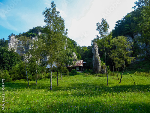 A panoramic view on a limestone rock formation in the Ojcow National Park near Krakow, Lesser Poland, Poland. Cottage, hut. A lush green meadow in spring. Jurassic Krakow-Czestochowa Upland photo
