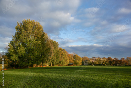 autumn landscape with trees, Regent's Park, London