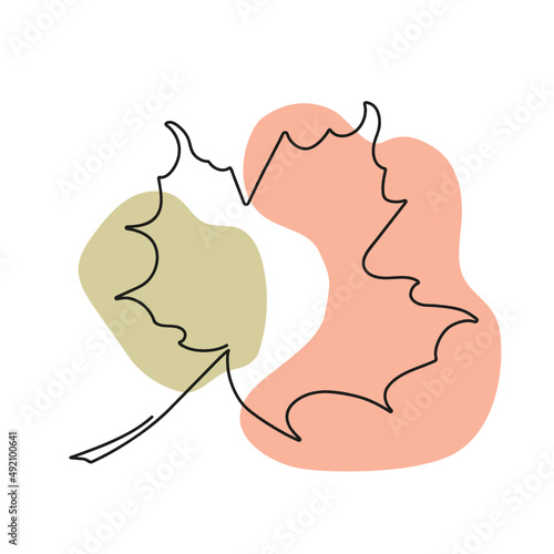 maple leaf illustration