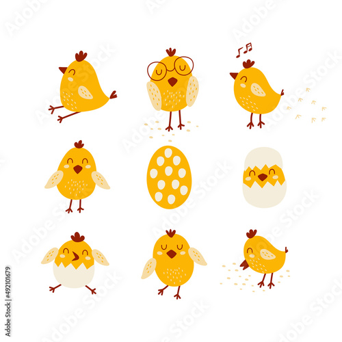 Set with yellow chicks. Vector illustrations