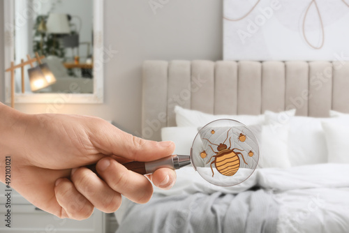 Fotografija Woman with magnifying glass detecting bed bugs in bedroom, closeup