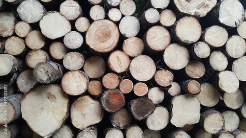 Pile of stacked fresh cut wood logs as background
