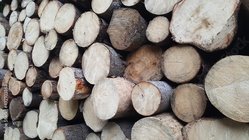 Pile of stacked fresh cut wood logs as background