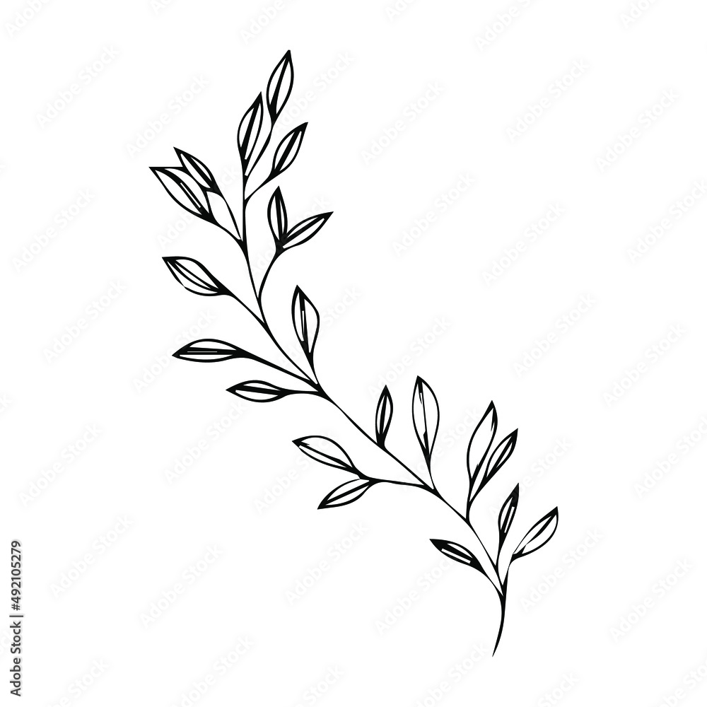 Flat outline of a branch with leaves. Black and white vector image.
Flat outline of a branch with leaves. Black and white vector image.