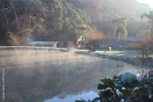 paisagem coberta por geada no inverno no roteiro caminhos de pedra em Bento Gonçalves, rio grande do sul photo