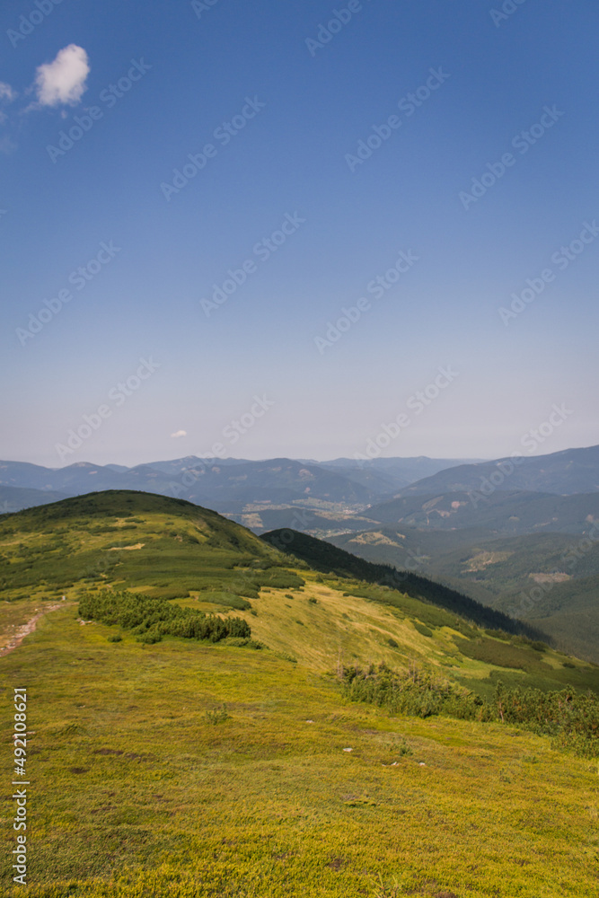 Fototapeta premium beautiful carpathian mountains, road, hills, forest, ukrainene