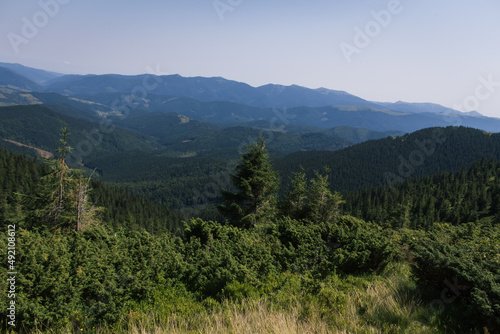 beautiful carpathian mountains, road, hills, forest, ukrainene