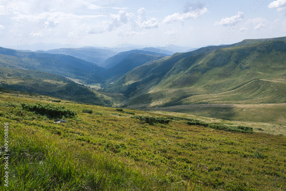 beautiful carpathian mountains, road, hills, forest, ukrainene