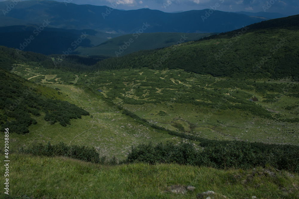 Fototapeta premium beautiful carpathian mountains, road, hills, forest, ukrainene