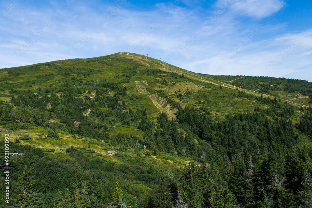 Naklejka premium beautiful carpathian mountains, road, hills, forest, ukrainene