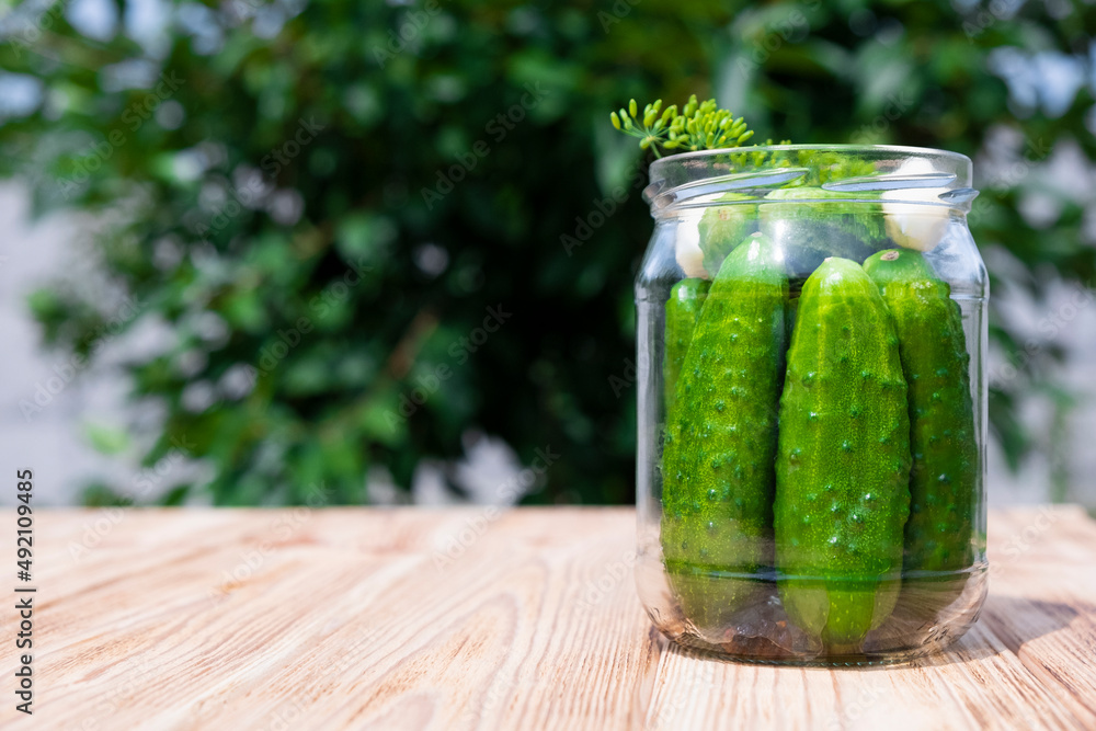 Glass jar with fresh cucumbers, herbs, garlic and dill on wooden board in yard. Recipe of crunchy gherkins with salt for home conservation. Natural probiotics, fermented veggies. Glass jar with fresh cucumbers, herbs, garlic and dill on wooden board in yard. Recipe of crunchy gherkins with salt for home conservation. Natural probiotics, fermented veggies.