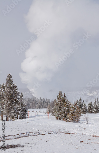 Snow Covered Landscape in Yellowstone National Park in Winter