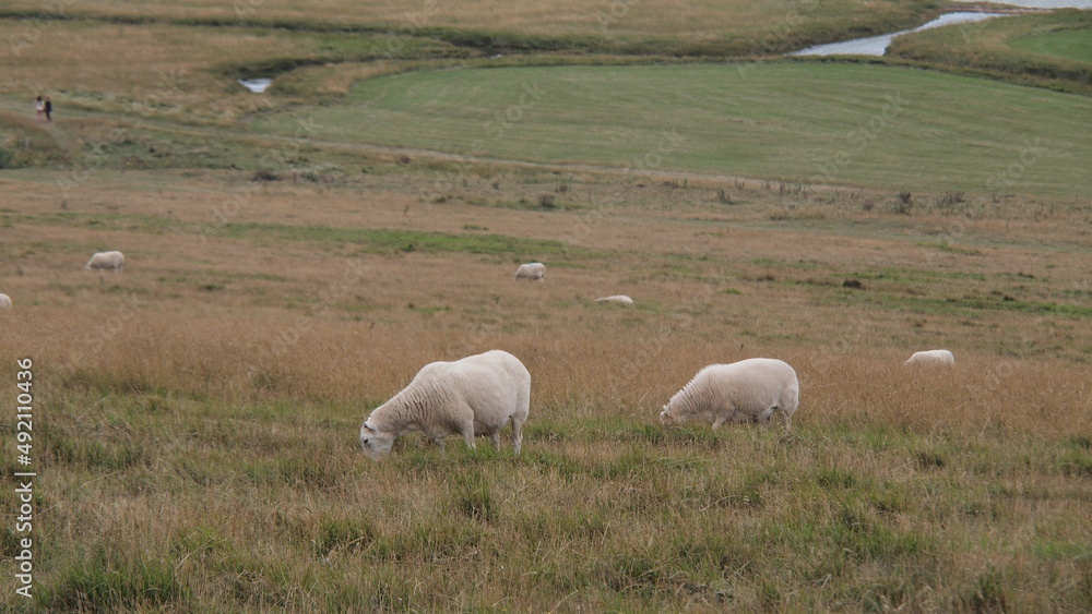Fototapeta premium Seven sisters
