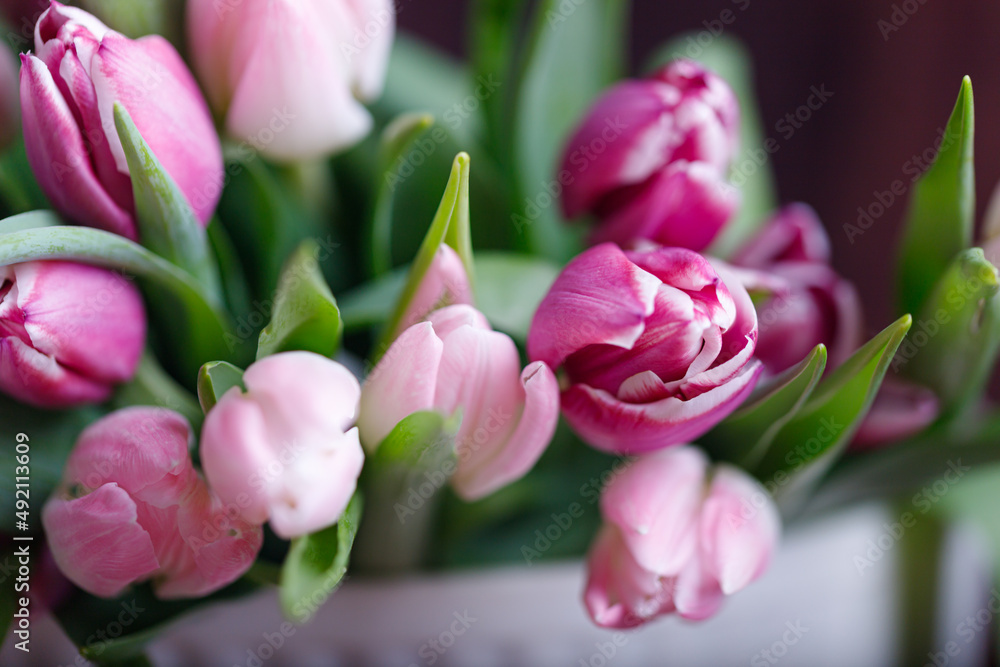 spring tulips on pink background. Greeting card for mothers day