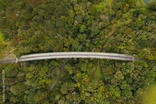 aerial view of bridge over forest