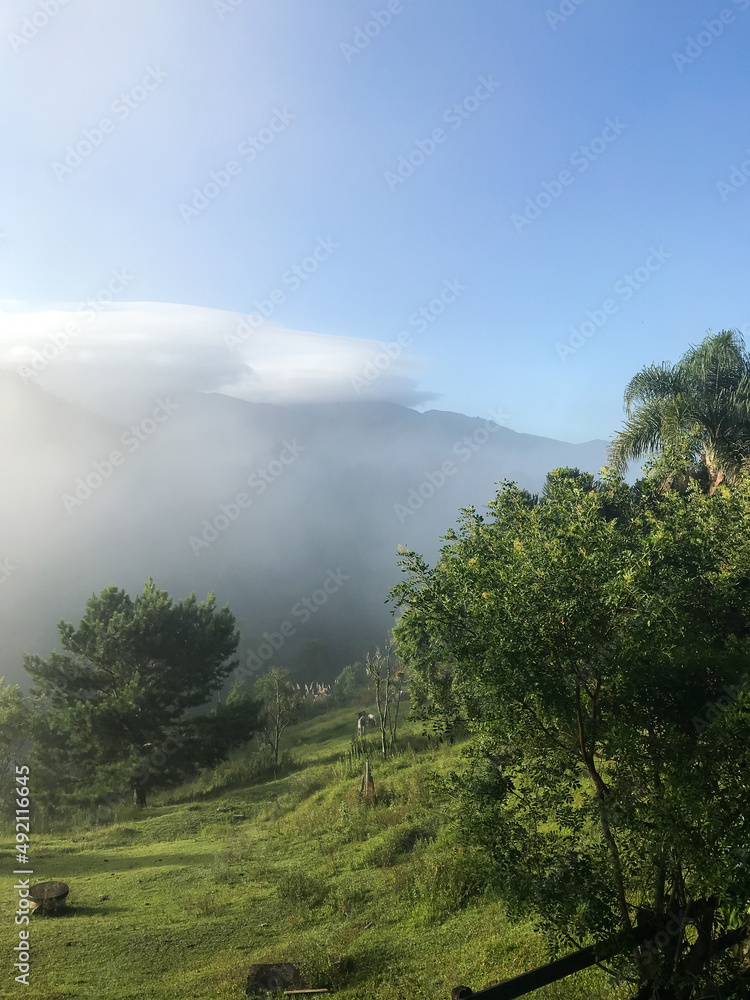 Clouds and fog over the nature