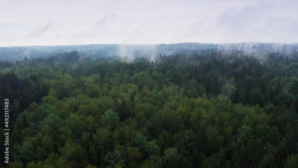 High flight over the summer morning fog. Aerial drone view. High flight over the summer morning fog. Aerial drone view.