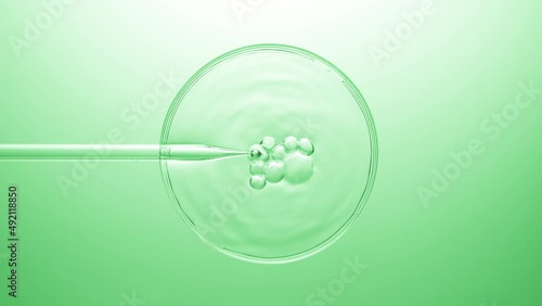 Wallpaper Mural Different sized air bubbles come out from chemical dropper and float on the surface of transparent liquid in petri dish bursting on green background | Abstract cosmetics formulation concept Torontodigital.ca