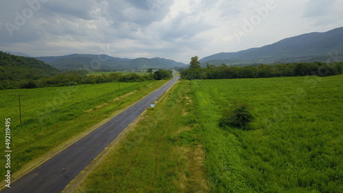 beautiful mountain road in green landscape in northwest Argentina