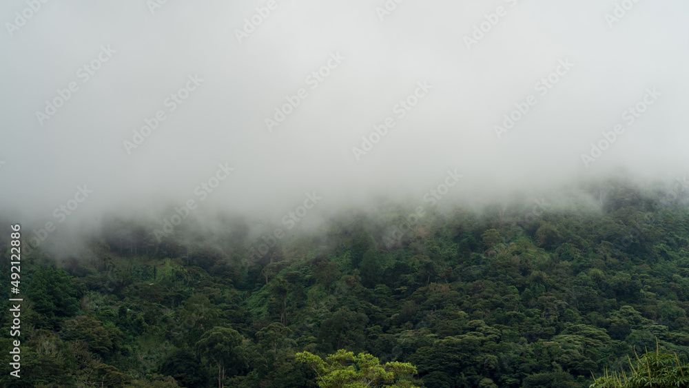 Image of fog forming on a tropical mountain slope. Photo taken in Boquete, Panama.