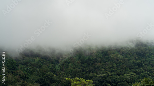 Image of fog forming on a tropical mountain slope. Photo taken in Boquete, Panama.