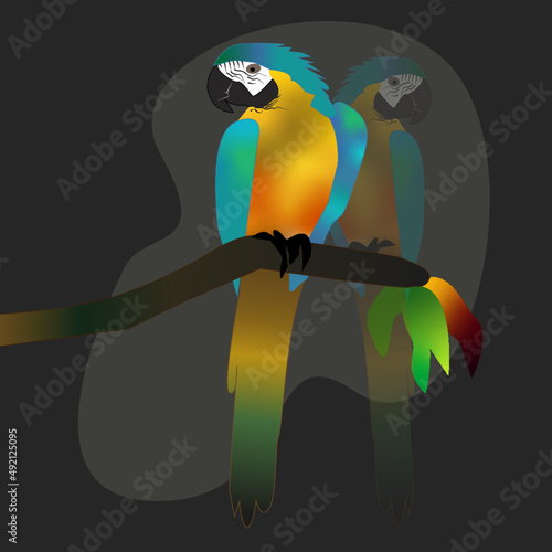 ave, papagaio, animais, arara, caricatura, natureza, ilustração, vector, tropical, bico, árvore, selva, galho, animal de estimação, ara, fauna, exótica, pena, amarelo, zôo, colorido, ala, desenho, art
