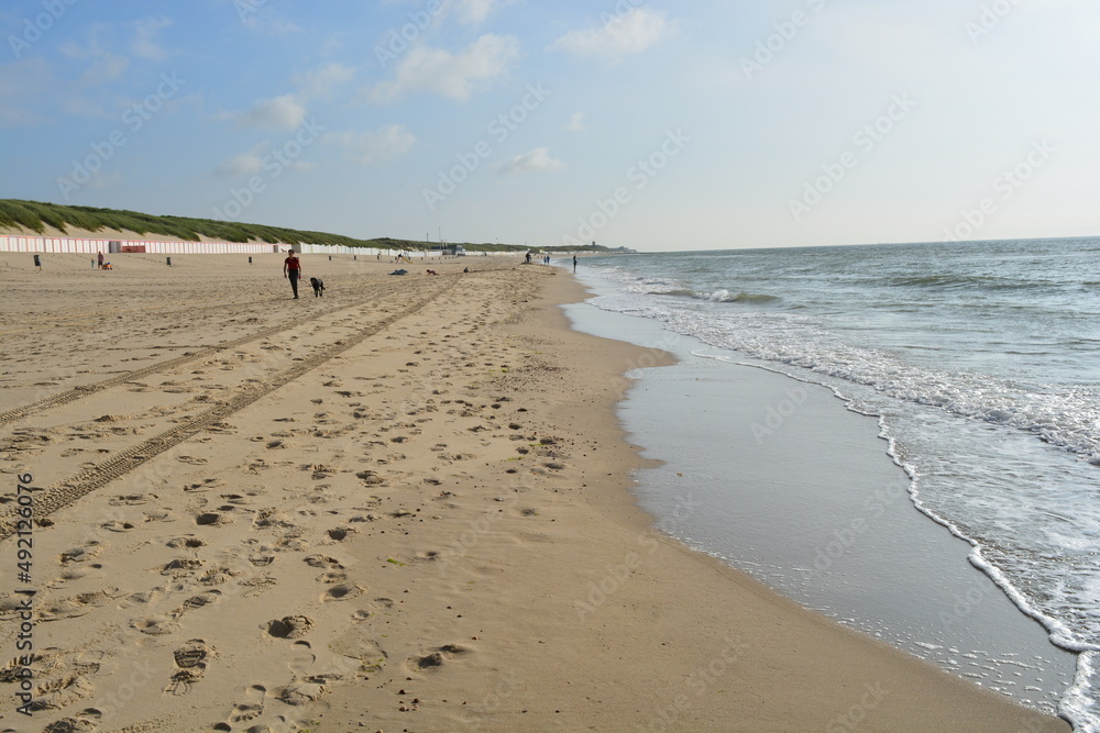 Sun Sea Beach Sand Waves Water Netherlands Sun Sea Beach Sand Waves Water Netherlands