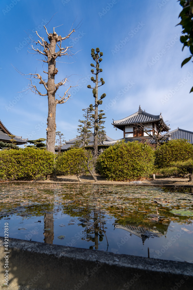 Fototapeta premium 大寳山 法雲寺（法雲禅寺）