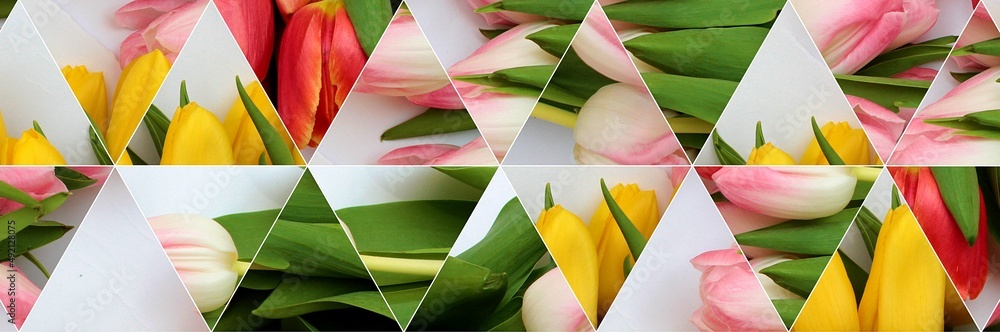 Fototapeta premium Mozaika z tulipanów czerwonych żółtych i różowych kwiatów 