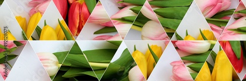 Mozaika z tulipanów czerwonych żółtych i różowych kwiatów  © adam chojecki