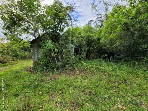 casa de madeira abandonada