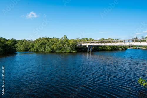 Gordon River Greenway Naples Florida - Bridge View © RobertMiller