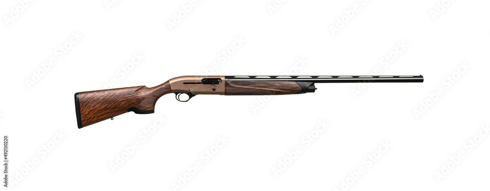 A modern semi-automatic shotgun with a wooden stock. Guns in bronze
