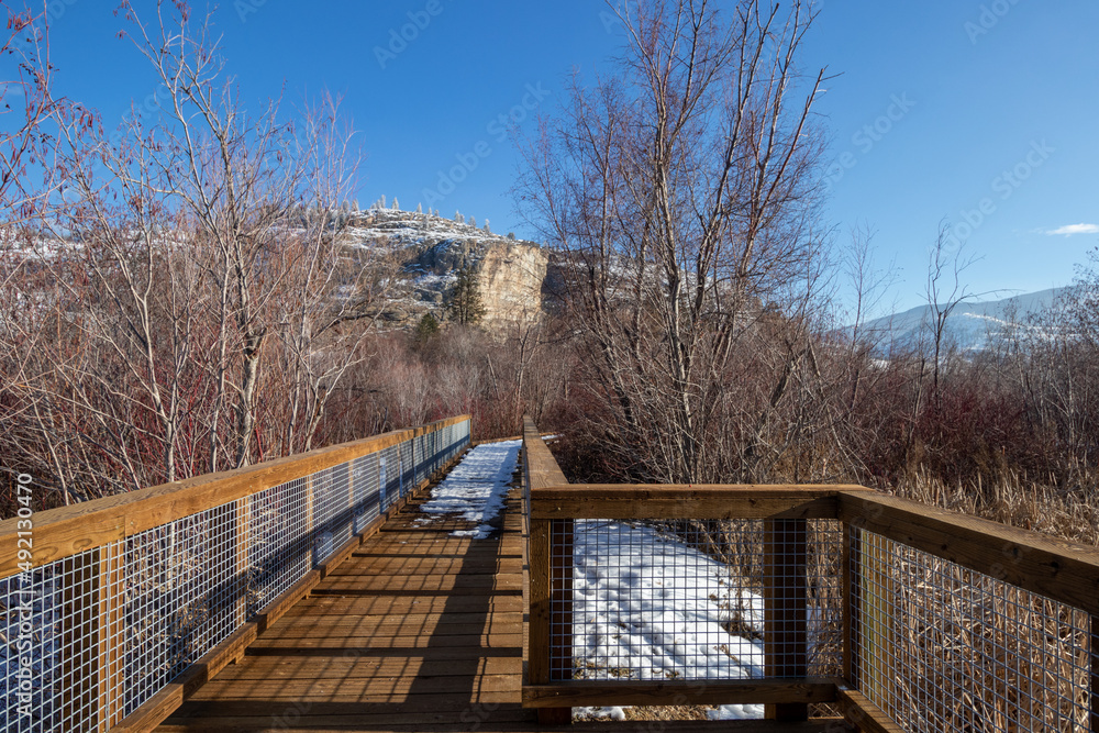 Boardwalk through the marsh in the mountains Boardwalk through the marsh in the mountains