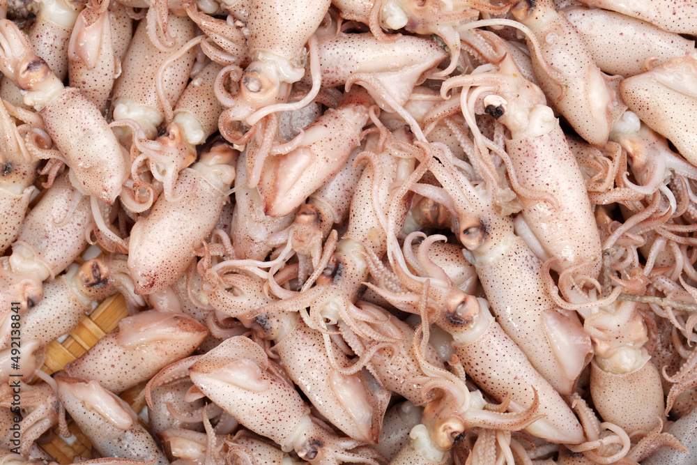 Small Freshly Steamed Squids background Small Freshly Steamed Squids background