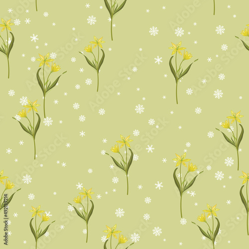 Seamless floral pattern with blooming branches of star of Bethlehem flower and snowflakes. Gagea lutea. Seasonal motif with yellow wildflowers.