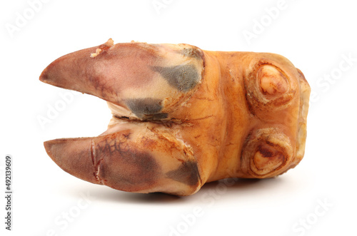 cow hooves on white background