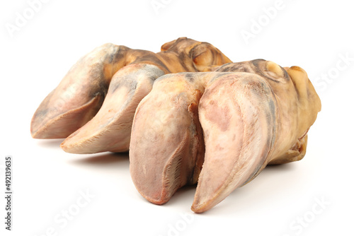 cow hooves on white background