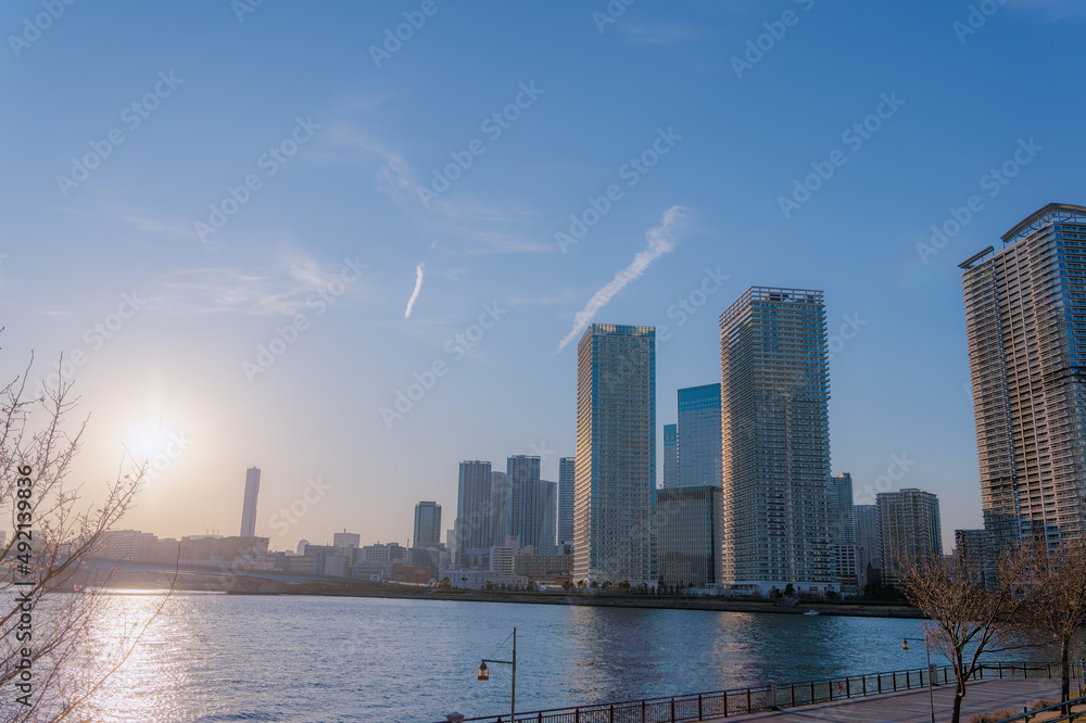 Naklejka premium 東京都江東区豊洲の夕方の都市景観