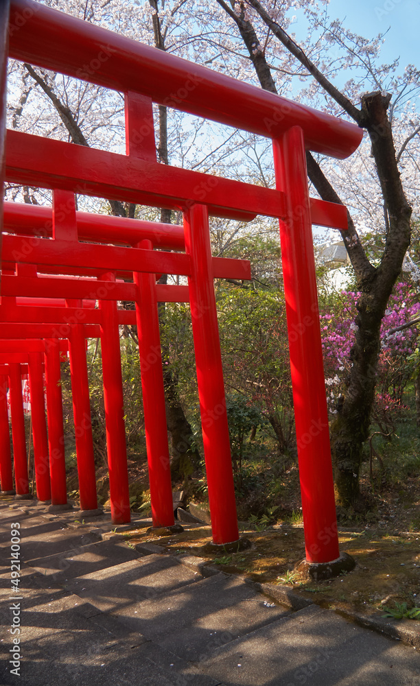 Red tori gates at Nagoya Branch of Chiyo Inari Shrine. Nagoya. Japan