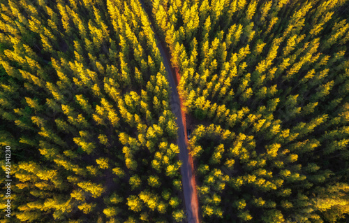 Bird eye view of Tiga forest with sun set view photo